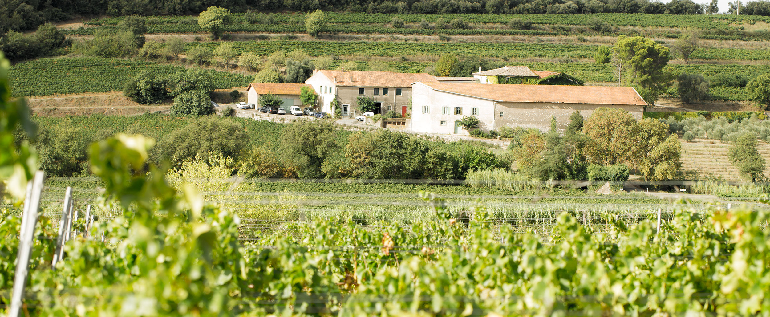 Domaine Daurion Domaine Daurion à Caux (34)
