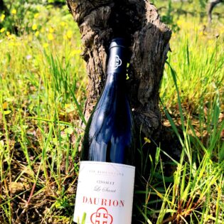 Le Secret Cinsault