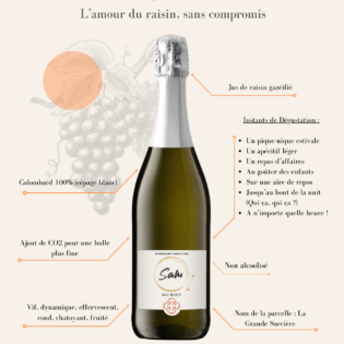 SAM, la Bulle de Raison – Image 4